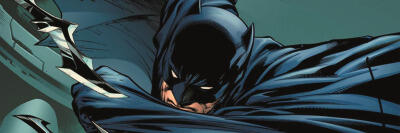panel of batman